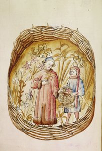 Un farmacéutico y su ayudante recogen hierbas y raíces en un jardín de hierbas, c.1380-1400