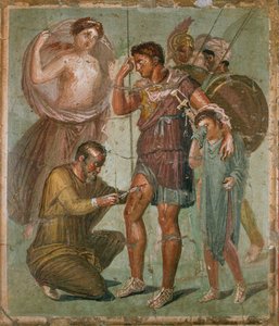 Eneas herido entre Venus y Ascanio, de la Casa di Sirico de Erich Lessing