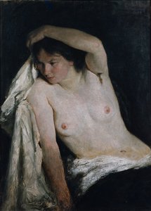 Mujer semidesnuda