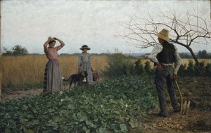 en el campo de patatas