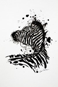 Salpicadura de tinta de cebra salvaje