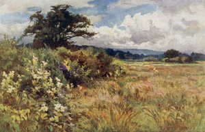 Terreno elevado de Ernest Benger or Berenger