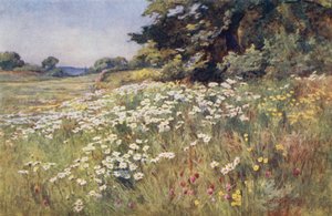 Luz del sol en el prado de Ernest Benger or Berenger