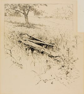 Captura de Fort Ticonderoga de Ernest C. Peixotto