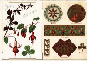 Imágenes de fucsia y agracejo de los manuscritos y su aplicación de Ernest Guillot