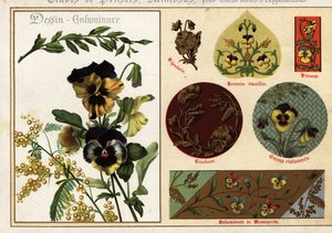 Imágenes de pensamientos y mimosas en manuscritos y su aplicación
