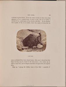 Un cono de suciedad de Ernest H. Edwards