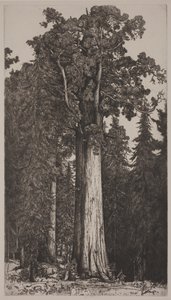 General Sherman de Ernest Haskell