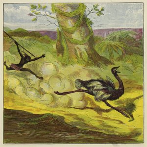 Hombre cazando un avestruz