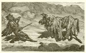 El Asno en la Piel del León