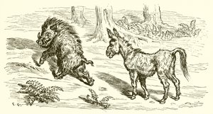 El Jabalí y el Asno