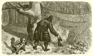 El Cazador y el Mirlo