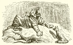 El Zorro y el Tigre