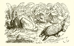 La liebre y la tortuga