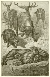 El Viejo León