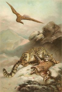 El Leopardo de las Nieves y el Águila de Ernest Henry Griset