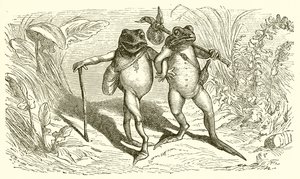 Las dos ranas