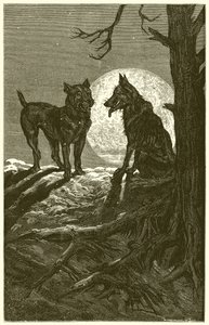 El Lobo y el Mastín