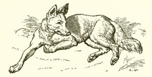 El lobo con piel de oveja