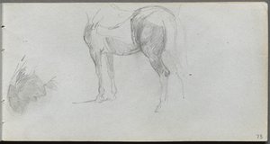 Sketchbook, page 73: Study of a Horse, profile de Ernest Meissonier
