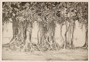 El Árbol de Banyan de Ernest Stephen Lumsden