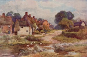 "Beggarly Broom" (litografía en color) de Ernest William Haslehust