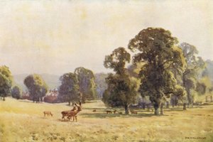 Cobham Park (litografía en color) de Ernest William Haslehust
