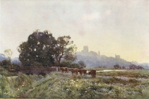 Dorchester desde los prados (litografía en color)