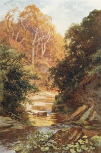 Hayburn Wyke (litografía en color) de Ernest William Haslehust