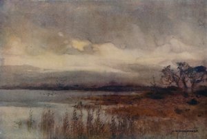 Hickling Broad (litografía en color) de Ernest William Haslehust