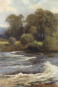 Cataratas de Monnington (litografía en color) de Ernest William Haslehust