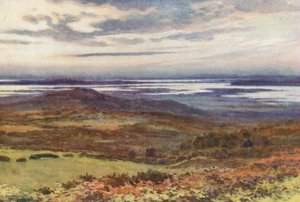 Poole desde el Swanage Golf Links (litografía en color) de Ernest William Haslehust