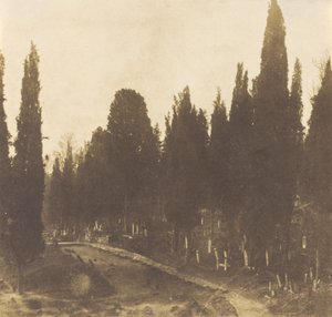 Turquía: Cementerio de Scutari,1852 (foto)