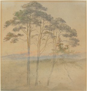 Pinos en una niebla matutina de Ernst Ferdinand Oehme