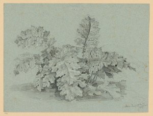  de Ernst Fries
