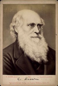 Charles Darwin, naturalista británico, c. 1860s-c. 1870s de Ernst Hader