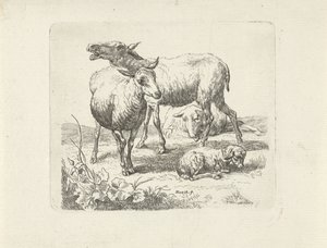 Tres ovejas y un cordero en un prado de Ernst Ludwig Creite