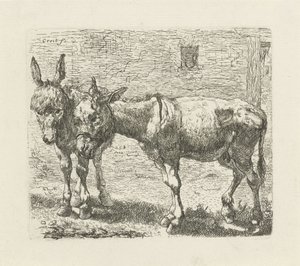 dos burros de Ernst Ludwig Creite