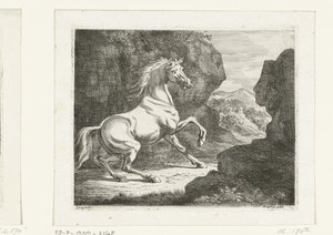 Semental blanco rebotando de Ernst Willem Jan Bagelaar
