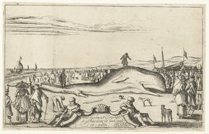 Ballena varada en la playa de Noordwijk, 1614