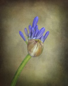  de Esteban Rios