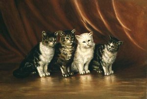 Cuatro gatos