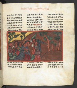 O. 607 f051r, Escena de la vida de la Virgen María, de 