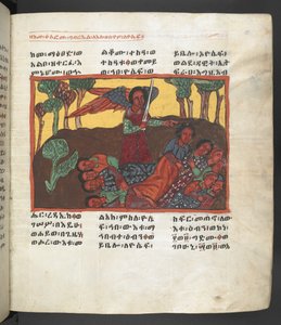 O. 607 f058r, Escena de la vida de la Virgen María, de 
