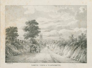 Tamworth - Vista distante desde el norte: litografía, nd [1796-1865]