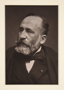 Retrato de Pierre Puvis de Chavannes (1824-1898) de Etienne Carjat