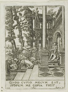 Narciso