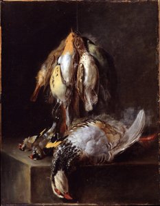 Pájaros muertos