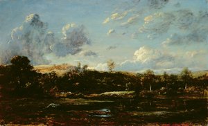 En las Landas de Etienne and Dupre Jules  Rousseau
