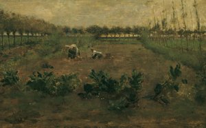 trabajo de campo